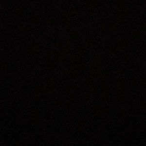 Meet your Posher, Evangelinerenae